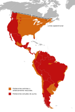 where are pumas located