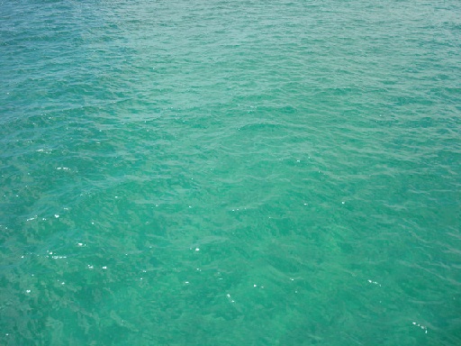 Sea Color Sorting Fandom Ed By Wikia Sea Green
