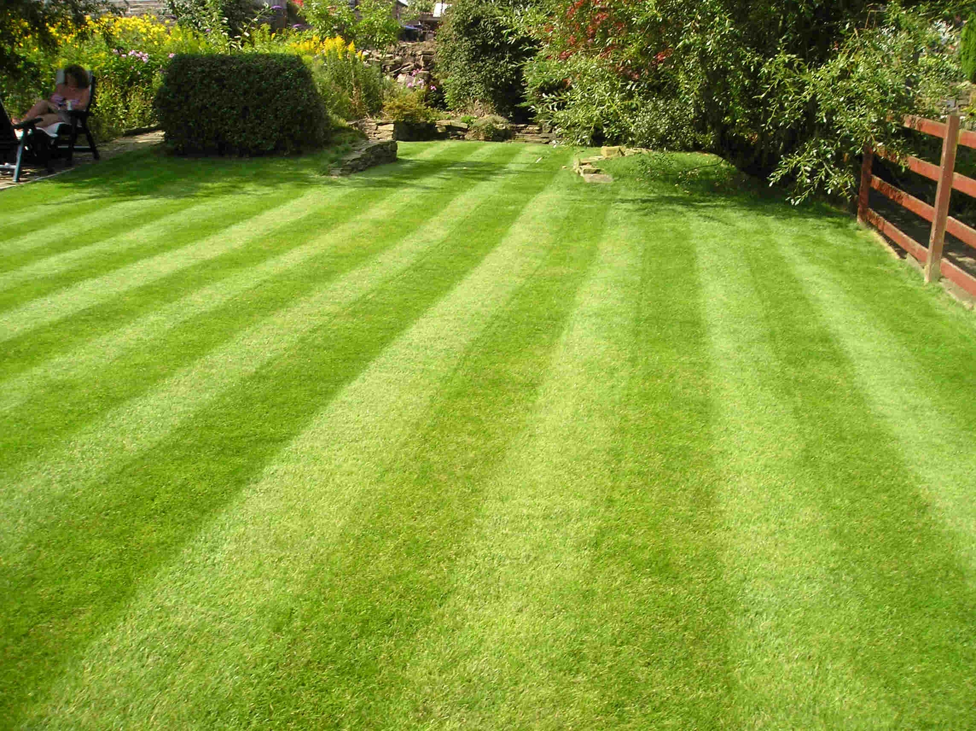Lawn Color Sorting FANDOM powered by Wikia Lawn Color Sorting FANDOM powered by Wikia