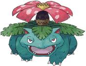 Venasur