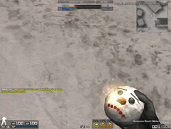 Combat-Arms SBF3