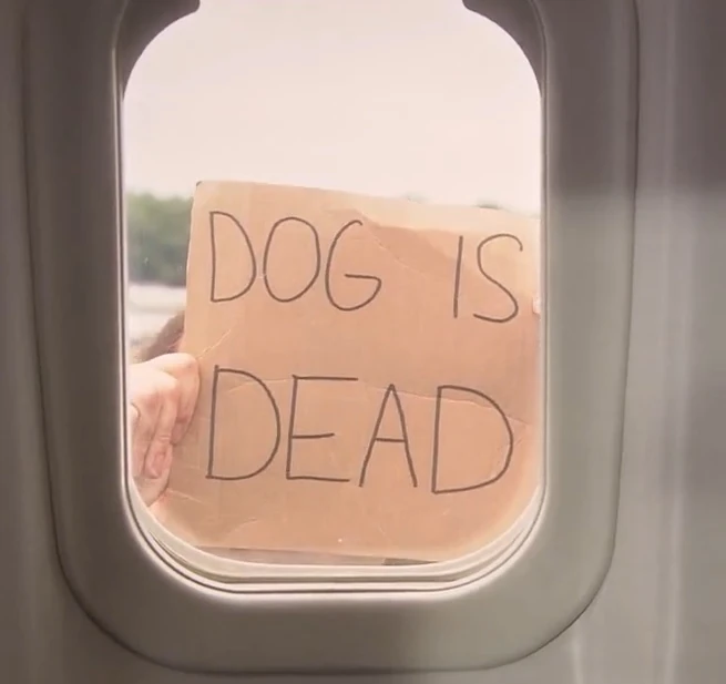 Image Dog Is Dead.jpg Come Fly With Me Wiki FANDOM powered by Wikia