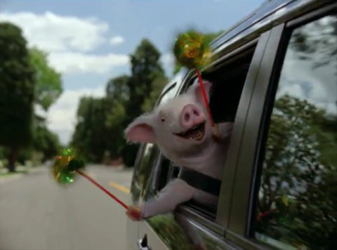maxwell the geico pig s pinwheel comedy world by youtube wiki