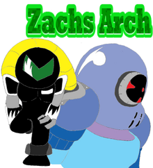 Zachs arch shirt
