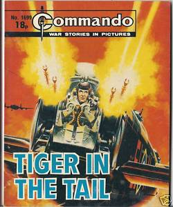 Tiger in the Tail Cover
