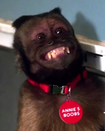 340?cb=20130206104834