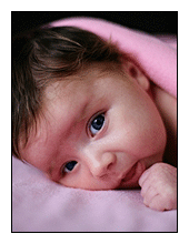 Baby-jace