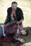 Merle 25