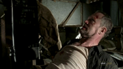 Merle 24