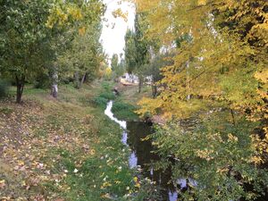 Arroyo de Paeque Alalpardo