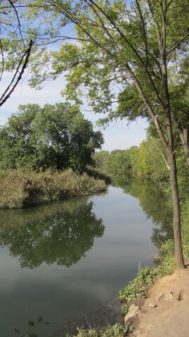 Archivo:Río Henares (RPS 09-09-2015) Alcalá de Henares, zona de El Val.jpg