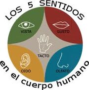 Descarga