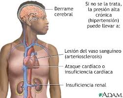Descarga (1)