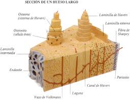 Images (5)