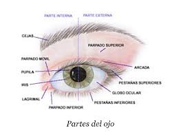Images