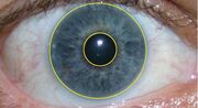 Irisrecognition
