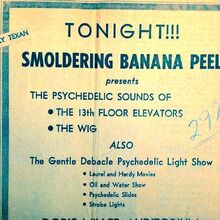 13th Floor Elevators Concerts Wiki Fandom