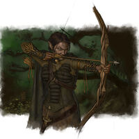 Elf Danaan Constructed Fantasy Worlds Fandom - green elf bow roblox
