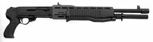 FSpas12orign