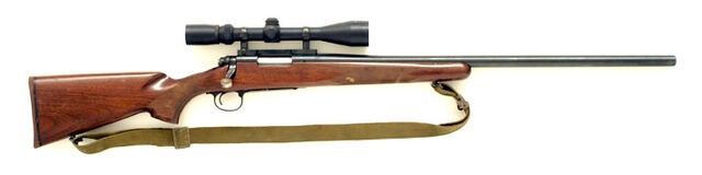 File:M40 1.jpg