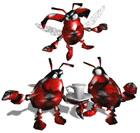 Beetles