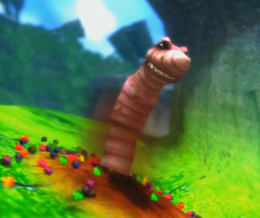 Worm