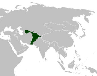 Iran Conlang Wiki Fandom