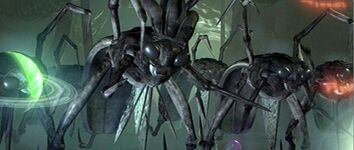 Mantis2