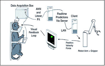 Brain-computer interface (schematic)