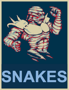 Sett campaign poster