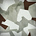 Camo m90 des big