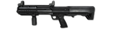 Ksg