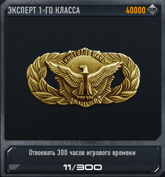 Эксперт 1-го класса