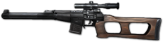 Vss pso ico