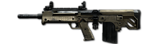 Pp rfb unlocked