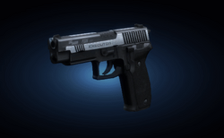 P226