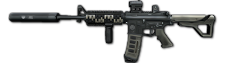 Rifle vltor wtask