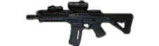 Sig556 w