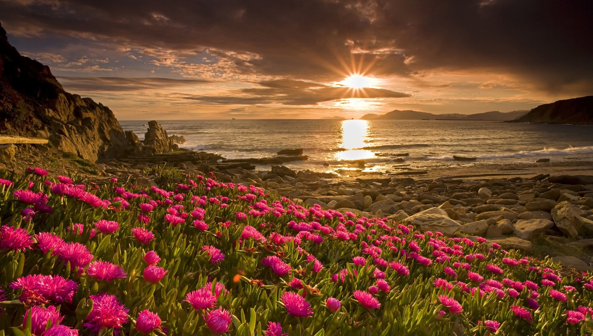 Image Pink Flowers Island.jpg Constructed Worlds Wiki FANDOM