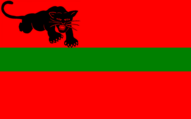 Image - Black Panther Flag.png | Constructed Worlds Wiki | FANDOM ...