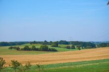 Farmland