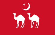 Sultanate flag