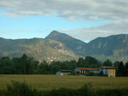 Alps