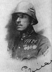ПАЛ