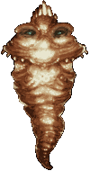 ShinyWrinkler