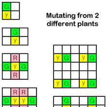 Garden Cookie Clicker Wiki Fandom