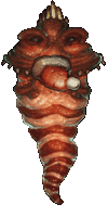WinterWrinkler