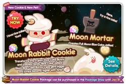 Moon Rabbit Cookie Newsletter