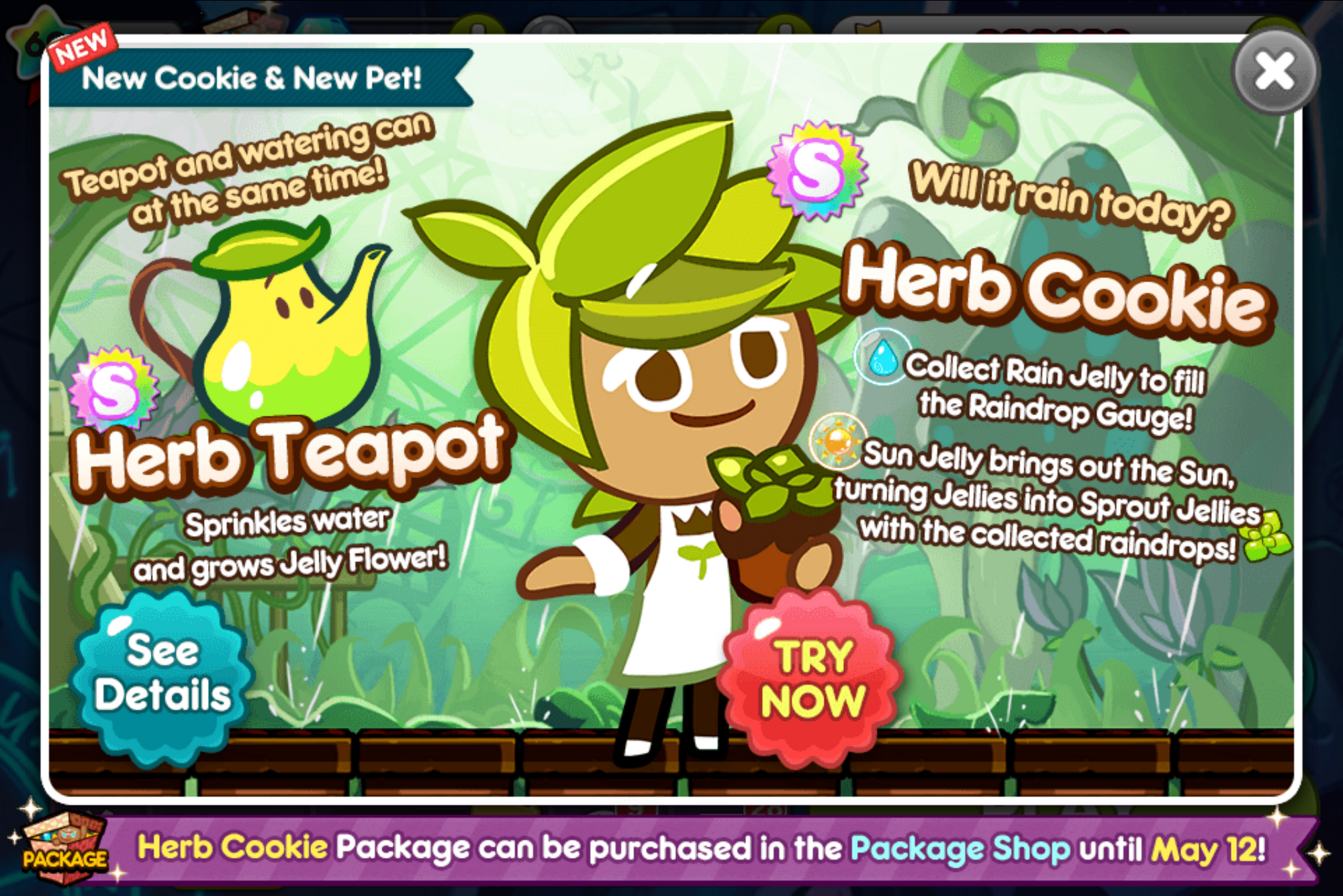 Herb Cookie Cookie Run Wiki FANDOM powered by Wikia
