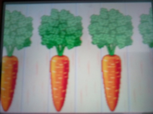 history of carrots